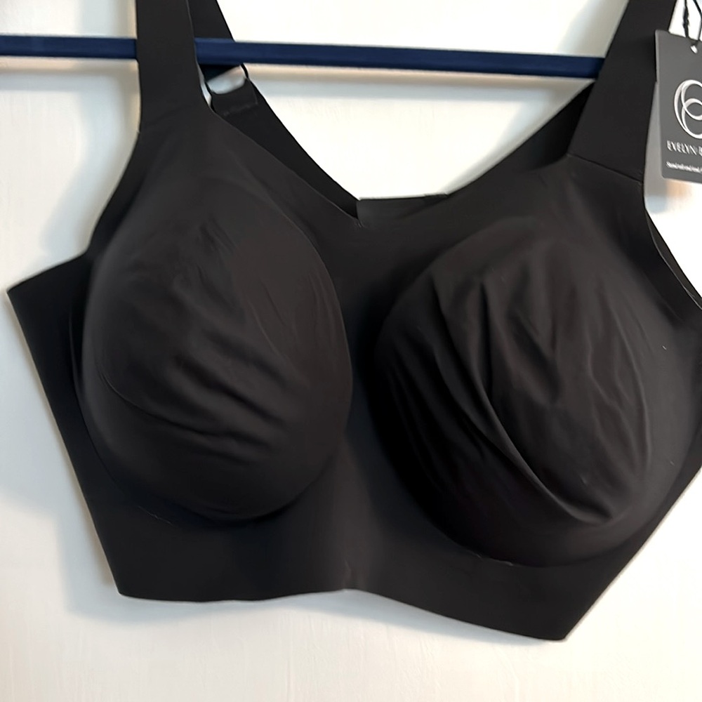 NWT Evelyn & Bobbie Beyond Bra size 2x